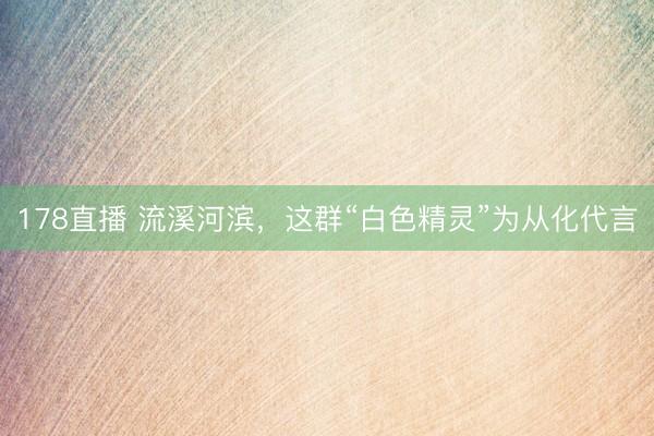178直播 流溪河滨，这群“白色精灵”为从化代言